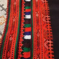 زی استین درعدنو