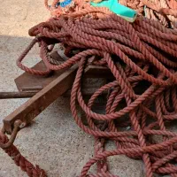 دریای لنگری