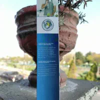 گوشت‌کوب برقی zigen|خردکن، آسیاب، غذاساز|آمل, |دیوار