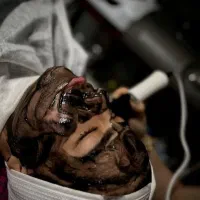 جشنواره فیشیال،جوانسازی،پاکسازی،آموزش، فقط بانوان