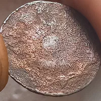 سکه قدیمی|کلکسیون سکه، تمبر، اسکناس|صومعه‌سرا, |دیوار