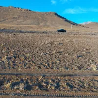 زمین کشاورزی مناسب گلخانه باغ|فروش دفتر صنعتی، کشاورزی، تجاری|داران, |دیوار