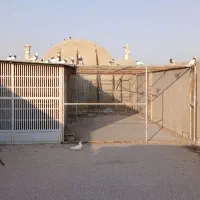 یک عدد گنجه کبوتر سالم وتمیز|لوازم جانبی حیوانات|قم, کلهری|دیوار