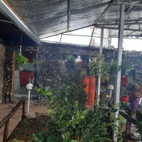 کافه رستوران ماه و ستاره|اجارهٔ مغازه و غرفه|اصفهان, فرودگاه شهید بهشتی|دیوار