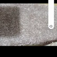 مقداری موکت پالاز