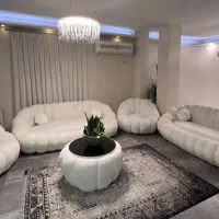 تدی صدفی جذاب