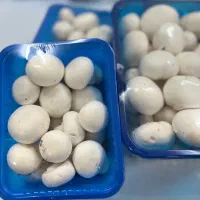 قارچ دکمه ای|خوردنی و آشامیدنی|فردیس, فردیس|دیوار