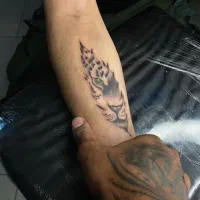 تتو ارتیست، بدن مشهد|خدمات آرایشگری و زیبایی|مشهد, مصلی (کارمندان اول)|دیوار