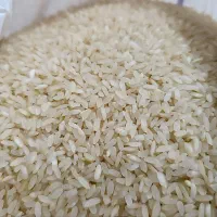 برنج کامفیروز اصل|عمدهفروشی|جهرم, |دیوار