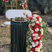 دکور بله برون ،نامزدی،بادکنک آرایی|خدمات پذیرایی، مراسم|بندر ماهشهر, |دیوار