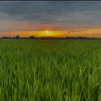 فروش زمین 5000زمین تجاری کشاورزی