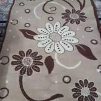 سالم و تمیز