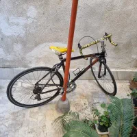 دو چرخه کورسی حرفه ای ماکسیما