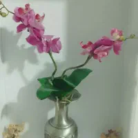 وسایل دکوری