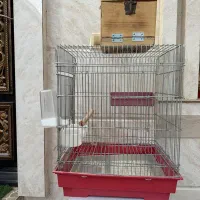 قفس طوطی، عروس و...