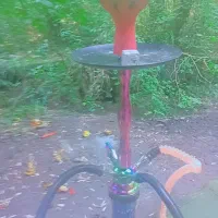 قلیون enzoاصلی