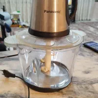 خردکن پاناسونیک