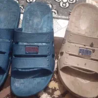 دمپایی ژله ای هراج