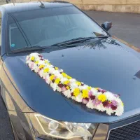 کرایه ماشین نامزدی عروسی|خدمات پذیرایی، مراسم|رامجین, |دیوار