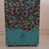 کاخن طرح طاووسی