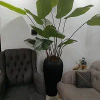 گل با گلدون مصنوعی فقط ۱۳ملیون