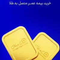 سرمایه‌گذاری برای آینده به سبک طلایی