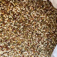 آجیل کبوتری (هفت دان)