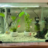 آکواریوم شرکتی