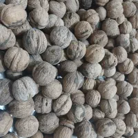 بادام کوهی شیرین و گردو|خوردنی و آشامیدنی|داران, |دیوار
