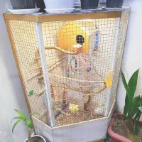 قفس به همراه عروس پاریس|لوازم جانبی حیوانات|اهواز, کارون|دیوار