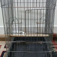 قفس پرنده