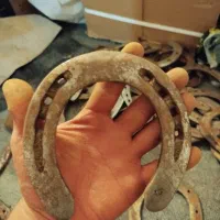 نعل اسب|اسب و تجهیزات اسب‌سواری|محمدشهر, محمدشهر|دیوار