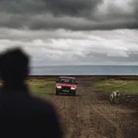 استخدام