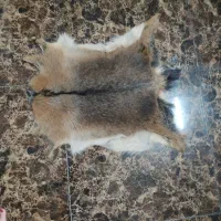 میز غذاخوری روستیک شیک و مدرن|میز و صندلی غذاخوری|اصفهان, رکن الدوله غربی|دیوار