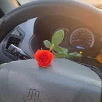 فروش گل نرگس