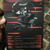 موس ایسوس گلادیوس