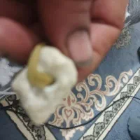 سنگ عطف بحری|جواهرات|شهرکرد, |دیوار