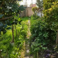 زمین-مسکونی-ویو-دار-زمیدان-کاسبی