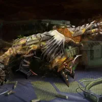 اکانت کالاف