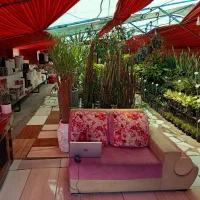 واگذاری گلخانه (گلفروشی)