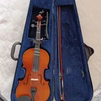 ویولن حرفه ای