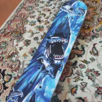 اسکیت برد بچه گانه