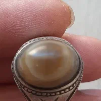 باباقوری کهنه