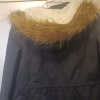 کاشن پالتو|لباس|همدان, |دیوار