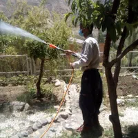 شخم زنی ،هرس کردن کاشت گل و گیاه سمپاشی گیاه