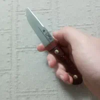 چاقو عناب|ابزارآلات|قم, باغ شریفی|دیوار