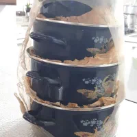 قابلمه لعابی نو استفاده نشده