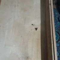 دراور تمام چوب با ریل چوبی قوی|جاکفشی، کمد، دراور|گنبد کاووس, |دیوار