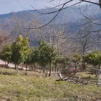 زمین-جنگلی-با-ویو-دریا-با-سند-و-جواز-ساخت-بر-یک