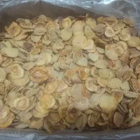 هلو ارگانیک